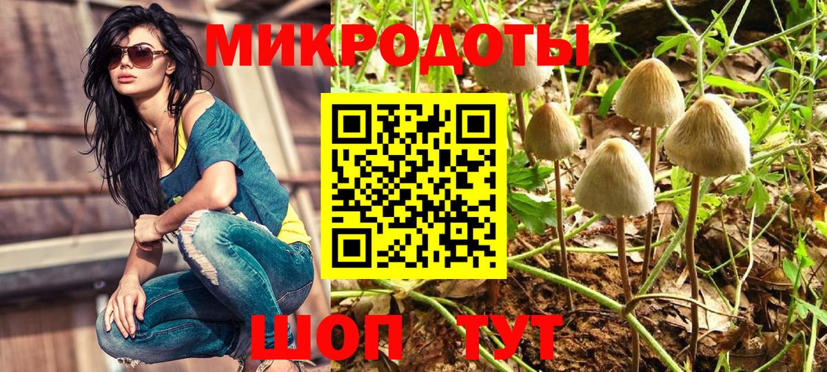 Псилоцибиновые грибы прущие грибы  Вход с VPN  Галлюциногенные грибы Psilocybine cubensis  Коммунар 